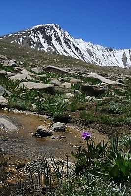 포토 JPG 해외이미지 나무 구름 아시아 여행 백그라운드 자연 휴가 산 풍경 사람없음 야외 초록색 여름 계곡 침묵 금지 시골 숲 언덕 오브젝트 산등성이 러시아 장면 지역 내추럴 시베리아 전국 절정 해외202004 해외포토 자연요소 식물 계절 유럽 나라 컬러 소리 생태계 파일형식 이미지허브