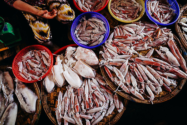 포토 JPG 해외이미지 아시아 음식 바다 백그라운드 자연 건강 요리 동양인 사람없음 쌓기 식사 저녁식사 흰색 신선 그룹 시장 먹기 해산물 오징어 날것 지역 많음 해외202004 해외포토 나라 컬러 컨셉 모션 연체동물 인종 수중동물 생태계 파일형식 이미지허브