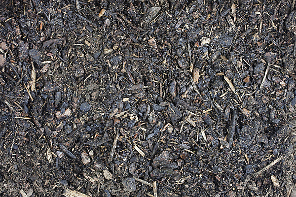 포토 JPG 해외이미지 백그라운드 사람없음 정원 흙 촉촉함 막대기 낟알 유기농 질감 먼지 나무껍질 해외202004 해외포토 나무 웰빙 젖음 껍질 파일형식 이미지허브