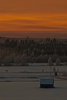 포토 JPG 해외이미지 나무 겨울 밭 농업 오렌지 하늘 사람없음 얼음 일몰 시골 숲 해외202004 해외포토 자연요소 식물 계절 산업 과일 노을 파일형식 이미지허브