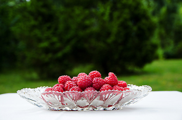 포토 JPG 해외이미지 열매 음식 다이어트 과일 재료 자연 유리 탁자 디저트 건강 식이요법 사람없음 빨간색 초록색 우주 정원 침묵 흰색 직물 신선 사발 달콤 맛 오브젝트 유기농 산딸기 칼로리 진홍색 내추럴 구성 숙성 많음 해외202004 해외포토 식물 웰빙 컬러 가구 컨셉 재질 소리 사기그릇 생태계 파일형식 이미지허브