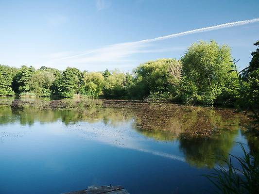 포토 JPG 해외이미지 나무 구름 영어 공원 호수 여행 자연 하늘 표면 휴가 영국 잉글랜드 국립공원 풍경 사람없음 야외 목재 초록색 물 여름 파란색 강 햇빛 반사 평화 환경 맑음 침묵 봄 시골 연못 숲 강가 땅 장면 지역 내추럴 삼림지대 수평선 해외202004 해외포토 자연요소 식물 문자 계절 공공시설 유럽 컬러 컨셉 재료 날씨 태양 소리 생태계 파일형식 이미지허브