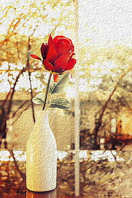 포토 JPG 해외이미지 꽃잎 꽃 꽃다발 백그라운드 잎 꽃무늬 자연 유리 탁자 발렌타인데이 사랑 사람없음 목재 빨간색 초록색 빛 장미 꽃병 침묵 수확 흰색 축하 신용카드 다발 해외202004 해외포토 나무 식물 감정 컬러 가구 컨셉 무늬 농업 재료 데이이벤트 재질 금융 소리 생태계 파일형식 이미지허브