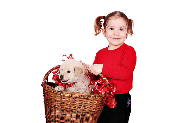 포토 JPG 해외이미지 동물 백인 여자 딸 행복 어린이 포옹 놀이 한명 미소 사람 반려동물 청춘 바구니 흰색 잡기 개 달콤 강아지 해외202004 해외포토 서양인 1 감정 컬러 컨셉 포유류 가족 안기 모션 표정 맛 파일형식 이미지허브