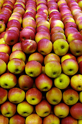 포토 JPG 해외이미지 음식 다이어트 과일 디저트 건강 사람없음 시장 사과 유기농 채식주의자 타르트 해외202004 해외포토 웰빙 빵 채식 파이_빵 파일형식 이미지허브