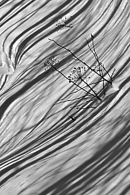 포토 JPG 해외이미지 겨울 추상 그림자 사람없음 얼음 검은색 흰색 대각선 해외202004 해외포토 자연요소 계절 선 컬러 무늬 파일형식 이미지허브