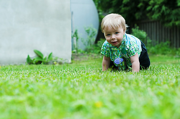 포토 JPG 해외이미지 백인 1 라이프스타일 응시 공원 남자 행복 얼굴 어린이 자연 놀이 한명 미소 사람 소년 야외 초록색 여름 컬러풀 금발 맑음 기쁨 흰색 표현 아기 작음 기어가기 해외202004 해외포토 서양인 헤어스타일 시선 계절 공공시설 감정 컬러 모션 날씨 표정 생활 신체부위 크기 생태계 파일형식 이미지허브