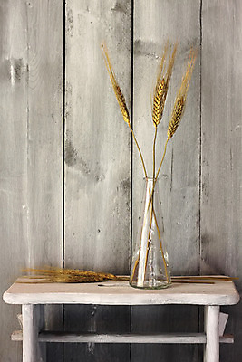 포토 JPG 해외이미지 음식 빵 백그라운드 농업 재료 자연 벽지 건조 건강 옥수수 씨앗 사람없음 목재 여름 농작물 꽃병 식사 빵집 수확 광선 가을 시골 황금 낟알 시리얼 밀 날것 귀 스파이크 밀짚 해외202004 해외포토 나무 식물 계절 꽃 산업 곡류 신체부위 상점 짚 생태계 파일형식 이미지허브