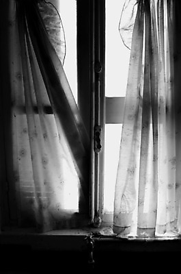 포토 JPG 해외이미지 꽃무늬 건축양식 창문 날씨 추상 주택 프레임 흑백 그림자 사람없음 내부 건물 빛 햇빛 주방 어둠 수확 직물 도시 시간 커튼 얼룩 투명 떨어짐 버리기 싱크대 폐허 질감 구김 무인 썩음 옛날 파멸 판유리 노화 해외202004 해외포토 건축물 건축 꽃 컨셉 무늬 농업 모션 유리 촬영기법 태양 개수대 파일형식 소멸 이미지허브