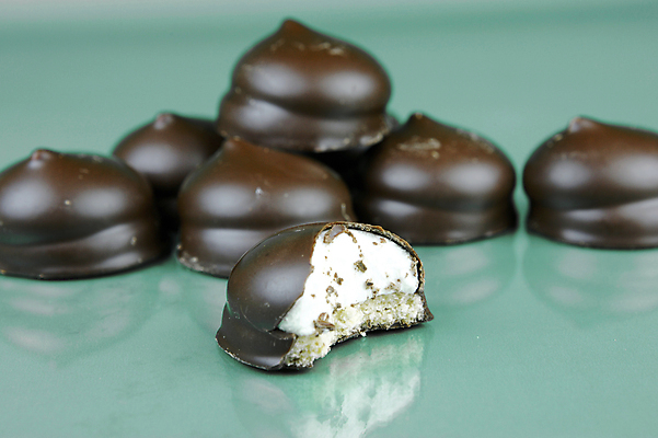 포토 JPG 해외이미지 접시 커피 디저트 사람없음 컵 쿠키 초콜릿 머그컵 대접 컵받침 마시멜로우 고립 해외202004 해외포토 식기 음료 음식 받침대 파일형식 이미지허브