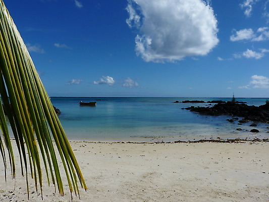 포토 JPG 해외이미지 나무 모래 바다 섬 여행 자연 하늘 휴가 휴식 손바닥 사람없음 물 여름 파란색 태양 침묵 흰색 보트 고급 인도인 휴양지 모리셔스 이국적 터키석 파라다이스 해외202004 해외포토 자연요소 외국인 식물 손 계절 컬러 컨셉 배_교통 동양인 소리 장소 보석 생태계 파일형식 이미지허브