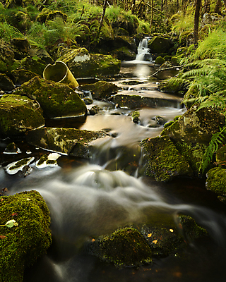 포토 JPG 해외이미지 유럽 자연 북유럽 노르웨이 이끼 풍경 사람없음 야외 물 여름 개울 암초 삼림지대 스칸디나비아 해외202004 해외포토 자연요소 계절 나라 강 숲 생태계 파일형식 이미지허브