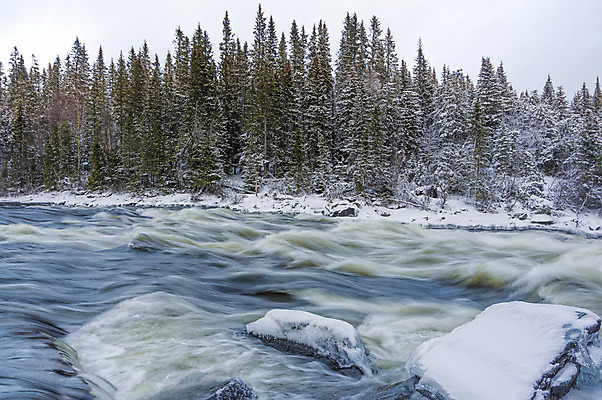 포토 JPG 해외이미지 나무 계절 여행 백그라운드 겨울 자연 스웨덴 풍경 사람없음 야외 물 강 냉동 얼음 폭포 젖음 추위 가을 바위 흰색 개울 숲 속도 서리 장면 북쪽 고드름 내추럴 눈내림 해외202004 해외포토 자연요소 식물 컬러 눈_날씨 북유럽 돌_바위 방향 생태계 파일형식 이미지허브