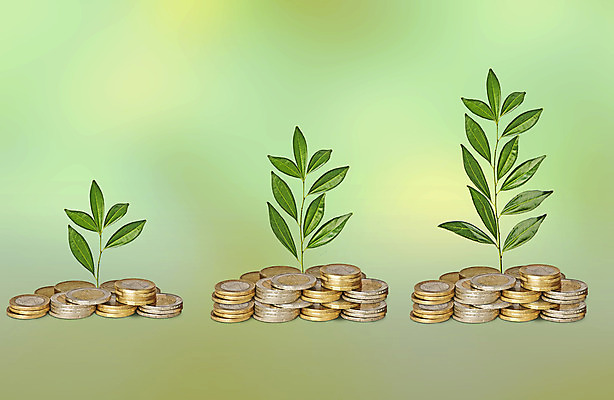 포토 JPG 해외이미지 나무 식물 유럽 잎 돈 비즈니스 자연 3 사람없음 초록색 금융 경제 새싹 환경 동전 유로 성장 재산 닫기 발자국 투자 개발 모종 묘목 생태학 유럽연합 해외202004 해외포토 교육 나라 컬러 자국 모션 생태계 파일형식 이미지허브