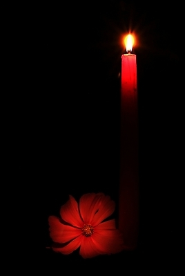 포토 JPG 해외이미지 1 종교 백그라운드 크리스마스 오렌지 촛불 불 휴가 휴식 사람없음 장식 가로 빛 노란색 교회 검은색 축제 어둠 희망 기도 축하 뜨거움 영혼 닫기 야간 심볼 싱글 신성 기념물 연소 고립 광 심지 왁스 화상 해외202004 해외포토 자연요소 기념일 감정 컬러 컨셉 과일 초 종교건축 모션 건물 상처 파일형식 이미지허브