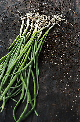 포토 JPG 해외이미지 식물 지구 음식 백그라운드 농업 다이어트 채소 재료 자연 양파 건강 요리 사람없음 목재 초록색 봄 샐러드 흰색 신선 그룹 다발 허브 유기농 날것 해외202004 해외포토 나무 웰빙 계절 산업 컬러 생태계 파일형식 이미지허브