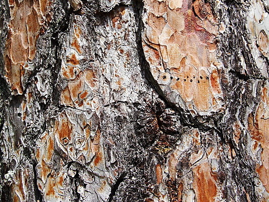 포토 JPG 해외이미지 사람없음 해외202004 해외포토 파일형식 이미지허브