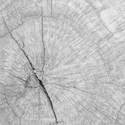 포토 JPG 해외이미지 디자인 벽 백그라운드 패턴 자연 탁자 표면 바닥 사람없음 목재 빛 검은색 회색 수확 흰색 시골 거친 널 낟알 질감 내추럴 그런지 수목 옛날 해외202004 해외포토 나무 컬러 가구 무늬 농업 재료 생태계 파일형식 이미지허브