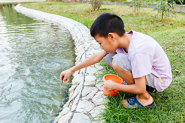 포토 JPG 해외이미지 동물 손 응시 공원 행복 어린이 음식 태국 자연 슬리퍼 어류 한명 사람 동양인 소년 야외 물 정원 기쁨 흰색 연못 먹이 양동이 돌봄 수유 해외202004 해외포토 자연요소 1 시선 공공시설 남자 감정 아시아 컬러 신발 모션 인종 신체부위 수중동물 생태계 파일형식 이미지허브