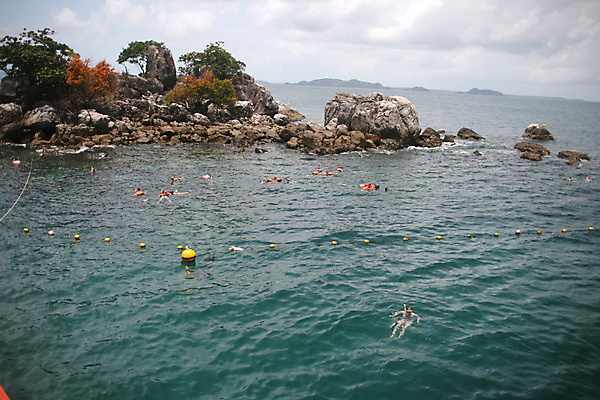 포토 JPG 해외이미지 식물 남자 스포츠 바다 섬 여행 포즈 이동 모션 자연 하늘 휴가 어류 가면 사람 사람없음 물 여름 파란색 수중 수영 관찰 그룹 손목시계 다이빙 수영선수 암초 해외202004 해외포토 자연요소 계절 시계 컬러 컨셉 장신구 운동선수 수중동물 수상스포츠 생태계 수중스포츠 파일형식 이미지허브