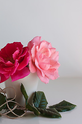 포토 JPG 해외이미지 식기 디자인 여자 꽃 분홍색 결혼 백그라운드 곡선 탁자 주택 사랑 사람없음 컵 여름 장미 주방 축제 봄 시골 신용카드 아침식사 찻잔 질감 심플 엽서 초대 고립 스타일링 제안 스타일 카피스페이스 해외202004 해외포토 식물 계절 감정 선 컬러 가구 잔 사람 이벤트 건물 금융 식사 공백 편지 파일형식 이미지허브