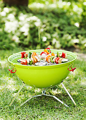 포토 JPG 해외이미지 음식 채소 주전자 불 양파 육류 돼지고기 옥수수 요리 사람없음 야외 빨간색 초록색 여름 소풍 파티 정원 식사 저녁식사 치킨 버섯 튀김 뜨거움 꼬치 맛 그릴 바비큐 굽기 준비 후추 숯 점심식사 케밥 해외202004 해외포토 자연요소 계절 컬러 컨셉 식재료 주방용품 곡류 이벤트 야외활동 구이 향신료 닭고기요리 파일형식 이미지허브