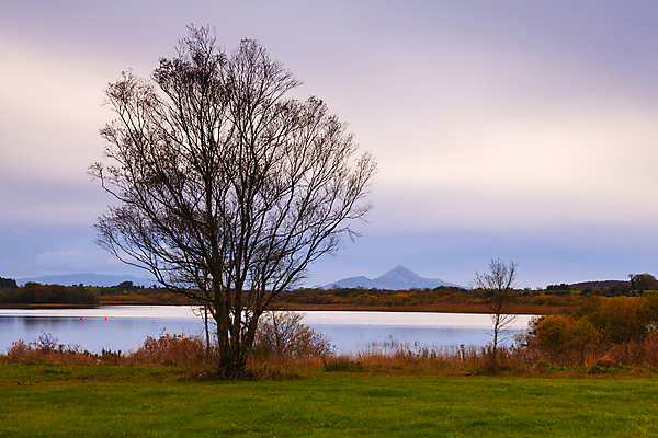 포토 JPG 해외이미지 나무 구름 계절 공원 호수 여행 백그라운드 자연 하늘 아침 휴가 휴식 산 풍경 사람없음 야외 초록색 물 여름 파란색 강 반사 평화 일출 환경 침묵 봄 하이킹 연못 투명 숲 마요네즈 해외202004 해외포토 주간 자연요소 식물 공공시설 컬러 컨셉 레저 노을 소리 소스_음식 생태계 파일형식 이미지허브