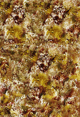 포토 JPG 해외이미지 모양 디자인 배너 종이 백그라운드 일러스트 벽지 추상 사람없음 그래픽 장식 컴퓨터 검은색 손상 고통 덮개 흰색 붓 점 얼룩 신용카드 거친 떨어짐 고민 질감 복고 결 스크래치 그런지 발생 엘리먼트 타격 포장소품 스타일 효과 해외202004 해외포토 감정 컬러 컨셉 무늬 포장 모션 금융 전자제품 뚜껑 오브젝트 포장재료 파일형식 이미지허브