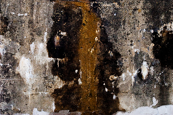 포토 JPG 해외이미지 식물 벽 백그라운드 컨셉 이끼 사람없음 페인트 댐 오브젝트 질감 각도 시멘트 핸드메이드 해외202004 해외포토 공공시설 파일형식 이미지허브