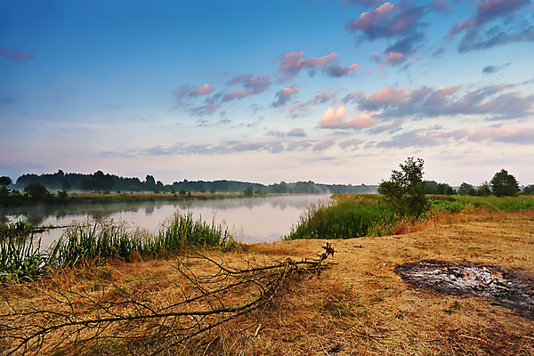 포토 JPG 해외이미지 나무 호수 여행 백그라운드 밭 자연 벽지 하늘 아침 풍경 사람없음 야외 초록색 물 여름 강 컬러풀 햇빛 태양 일출 침묵 새벽 안개 가을 시골 신선 소나무 뜨거움 숲 벽난로 질감 장면 8월 7월 벨로루시 뿌연 해외202004 해외포토 주간 자연요소 식물 계절 컬러 농업 날씨 노을 소리 날짜 생태계 파일형식 이미지허브