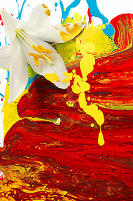 포토 JPG 해외이미지 모양 식물 디자인 교육 꽃잎 꽃 백그라운드 꽃무늬 패턴 추상 아이디어 창조 미술 사람없음 그래픽 장식 빨간색 머리 보라색 페인트 젖음 벚꽃 흰색 그리기 붓기 떨어짐 디자이너 순수 그림 심플 페인트붓 꽃가루 개성 꽃수술 해외202004 해외포토 직업 컬러 컨셉 무늬 모션 문화예술 신체부위 붓 가루 파일형식 이미지허브