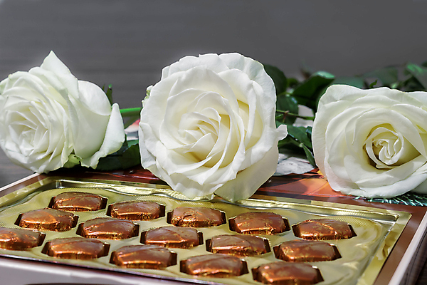 포토 JPG 해외이미지 식물 기념일 꽃 자연 휴가 디저트 사탕 선물 사람없음 장식 여름 컬러풀 장미 봄 흰색 축하 신선 큼 주기 정물화 해외202004 해외포토 계절 음식 컬러 컨셉 모션 이벤트 크기 그림 생태계 파일형식 이미지허브