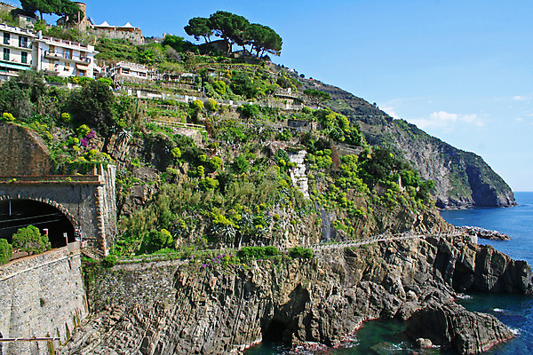 포토 JPG 해외이미지 나무 식물 유럽 바다 건축양식 낚시 산 주택 풍경 사람없음 물 파란색 컬러풀 마을 항구 이탈리아 보트 지중해 그림 타운 남쪽 토스카나 해외202004 해외포토 자연요소 건축 나라 컬러 배_교통 교통시설 레저 건물 도시 방향 파일형식 이미지허브
