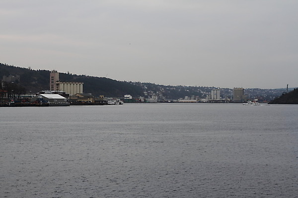 포토 JPG 해외이미지 사람없음 박쥐 오슬로 해외202004 해외포토 포유류 파일형식 이미지허브