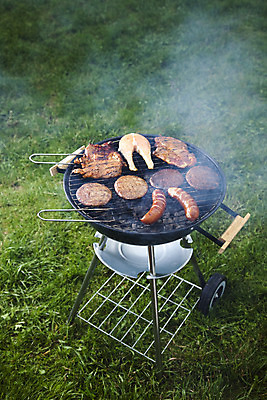 포토 JPG 해외이미지 주간 육류 요리 사람없음 야외 여름 파티 정원 연기 그릴 바비큐 굽기 연어 연어구이 해외202004 해외포토 자연요소 계절 음식 식재료 주방용품 어류 이벤트 구이 생선구이 파일형식 이미지허브