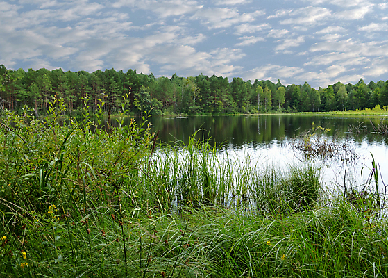 포토 JPG 해외이미지 나무 구름 호수 자연 하늘 풍경 사람없음 가로 초록색 물 여름 파란색 반사 침묵 변소 수평선 해외202004 해외포토 자연요소 식물 계절 컬러 소리 생태계 파일형식 이미지허브