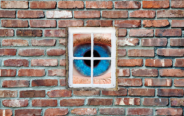 포토 JPG 해외이미지 응시 벽 창문 벽돌 사람없음 파란색 손목시계 붓꽃 해외202004 해외포토 시선 꽃 시계 컬러 장신구 파일형식 이미지허브