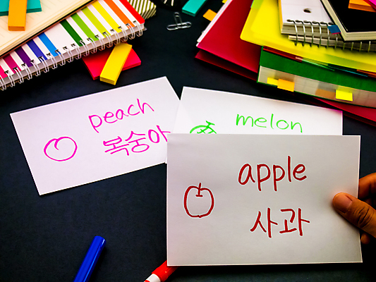 포토 JPG 해외이미지 학생 영어 교육 문화 텍스트 통신 교실 학교 수업 한국 사람없음 책 단어 스터디 세계 글로벌 연필 펜 쪽지 공책 시험 퀴즈 가르침 사과 강의 사전 소셜 번역 해외202004 해외포토 문자 아시아 과일 문구용품 학용품 학습 필기구 파일형식 이미지허브