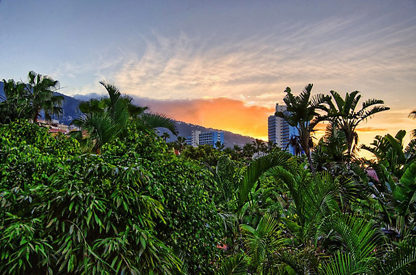 포토 JPG 해외이미지 나무 식물 공원 잎 아프리카 태국 휴가 손바닥 사람없음 빨간색 초록색 파란색 빛 강 태양 노란색 일몰 새벽 습기 뜨거움 저녁 숲 크루즈 사파리 베트남 코코넛 설정 강렬 이국적 해외202004 해외포토 자연요소 손 공공시설 나라 아시아 컬러 배_교통 과일 노을 동남아시아 야간 파일형식 이미지허브