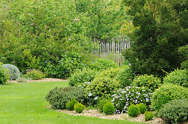 포토 JPG 해외이미지 나무 식물 공원 꽃 자연 사람없음 관광지 정원 프랑스 그림 해외202004 해외포토 공공시설 유럽 여행 생태계 파일형식 이미지허브