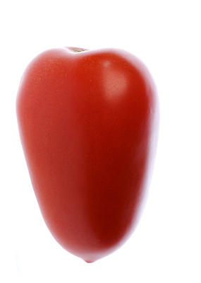 포토 JPG 해외이미지 식물 음식 농업 다이어트 토마토 채소 자연 건강 요리 사람없음 초록색 식사 신선 닫기 맛 먹기 묘사 유기농 날것 성분 내추럴 고립 식용 해외202004 해외포토 웰빙 산업 컬러 컨셉 모션 생태계 파일형식 이미지허브