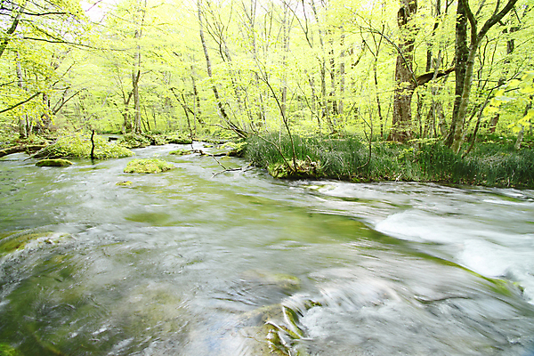 포토 JPG 해외이미지 나무 자연 이끼 사람없음 야외 목재 물 햇빛 일본 힘 폭포 광선 개울 떨어짐 강가 즐거움 해외202004 해외포토 자연요소 식물 감정 아시아 컨셉 재료 강 태양 생태계 파일형식 이미지허브