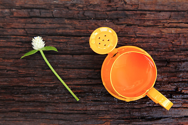 포토 JPG 해외이미지 꽃 오렌지 자연 사람없음 목재 장난감 금속 정원 미니어처 장비 공구 캔 냄비 작음 오브젝트 물주기 미니 밭일 옛날 해외202004 해외포토 나무 식물 과일 재료 모션 재질 모형 도구 솥 크기 생태계 파일형식 이미지허브