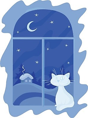 포토 JPG 해외이미지 나무 별 크리스마스 겨울 창문 주택 풍경 사람없음 고양이 달 야간 해외202004 해외포토 자연요소 식물 계절 기념일 포유류 건물 반려동물 파일형식 이미지허브