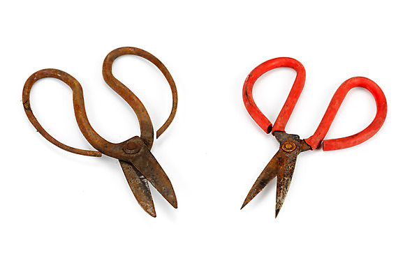 포토 JPG 해외이미지 백그라운드 사람없음 금속 장비 수확 골동품 흰색 기구 공구 쌍 칼날 큼 바느질 자르기 오브젝트 부식 복고 날카로움 재단 재단사 고립 그런지 옛날 중고 철강 해외202004 해외포토 직업 컬러 농업 모션 재질 도구 크기 파일형식 이미지허브