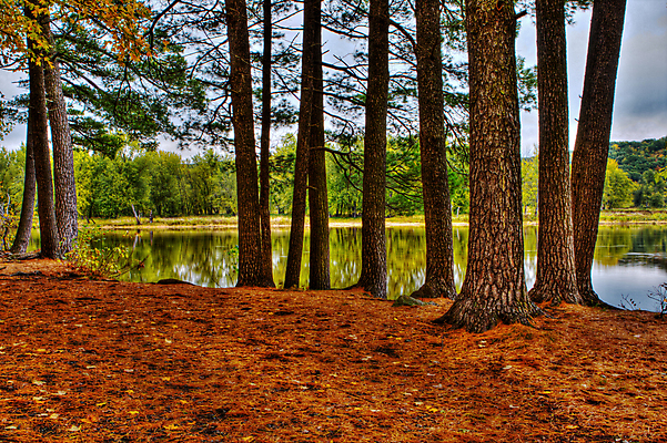 포토 JPG 해외이미지 계절 공원 여행 잎 자연 풍경 사람없음 야외 물 여름 강 컬러풀 평화 골짜기 미국 침묵 봄 활발 폭포 가을 개울 황무지 매끈함 숲 그림 역동적 지역 내추럴 강렬 해외202004 해외포토 자연요소 식물 공공시설 컬러 컨셉 북아메리카 소리 감각 생태계 파일형식 이미지허브