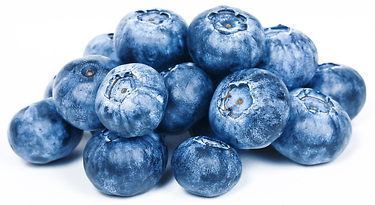 포토 JPG 해외이미지 열매 음식 과일 자연 사람없음 파란색 흰색 신선 달콤 오브젝트 블루베리 내추럴 고립 숙성 월귤 해외202004 해외포토 식물 컬러 맛 생태계 파일형식 이미지허브