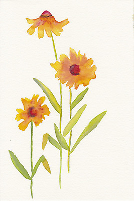 JPG 해외이미지 식물 꽃 일러스트 붓터치 수채화 사람없음 거친 그림 번짐 정물화 해외202004 해외일러스트 파일형식 효과 이미지허브