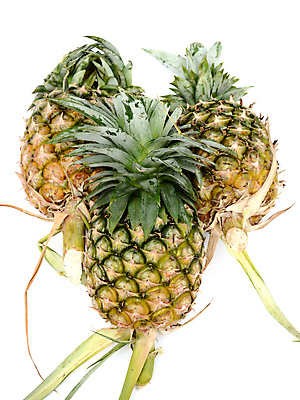 포토 JPG 해외이미지 식물 음식 농업 과일 재료 태국 자연 건강 요리 사람없음 초록색 농장 노란색 흰색 신선 달콤 파인애플 만족 유기농 날것 건강식 내추럴 고립 해외202004 해외포토 웰빙 감정 산업 아시아 컬러 맛 열대과일 생태계 파일형식 이미지허브