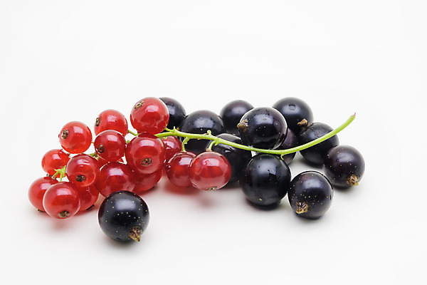 포토 JPG 해외이미지 식물 열매 음식 백그라운드 잎 과일 디저트 건강 사람없음 빨간색 초록색 농작물 검은색 주스 신선 먹기 민트 유기농 날것 내추럴 건포도 채식주의자 해외202004 해외포토 웰빙 음료 컬러 농업 모션 포도 허브 채식 건과일 파일형식 이미지허브